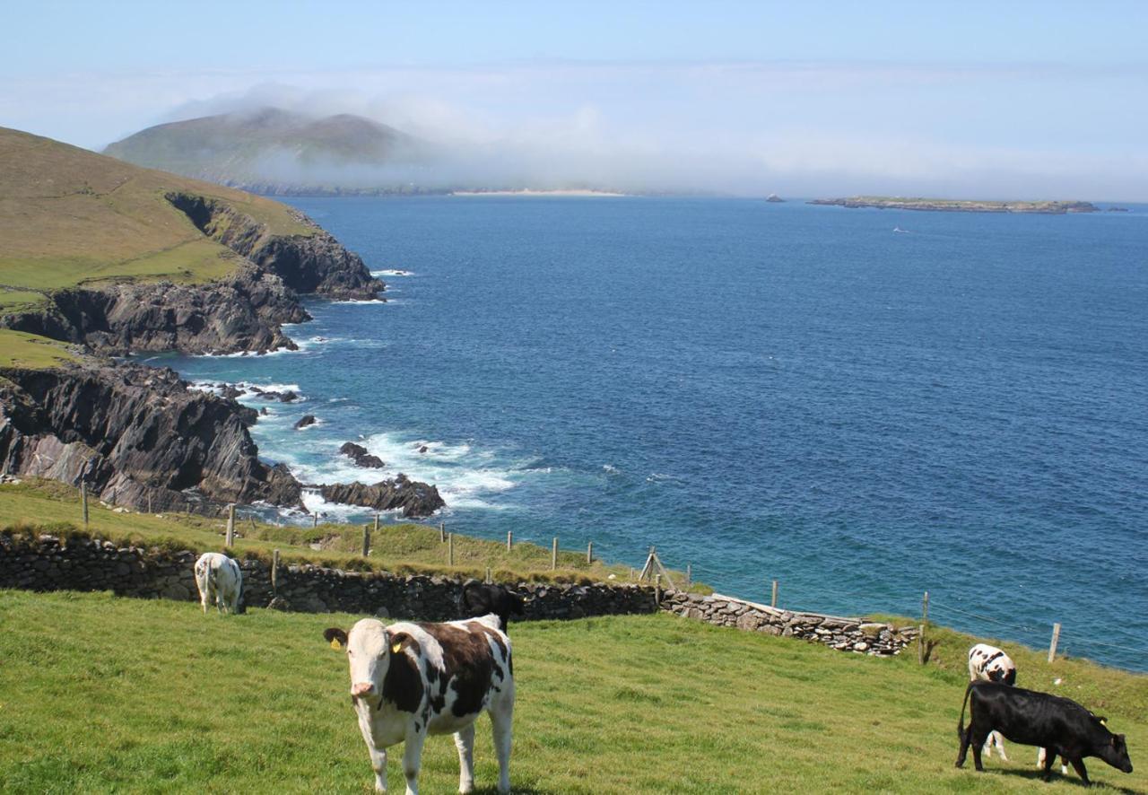 Dingle Harbour Cottages 3 Bed Sleeps 7 By Trident Holiday Homes Exterior photo